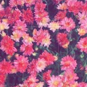 Meet your Posher, flowerpower895